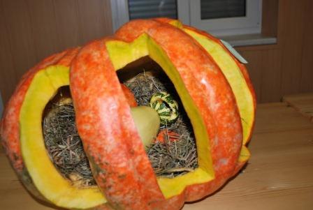 Tekmovanje v izrezovanju buč 2012 14